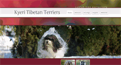 Desktop Screenshot of kyeri.com